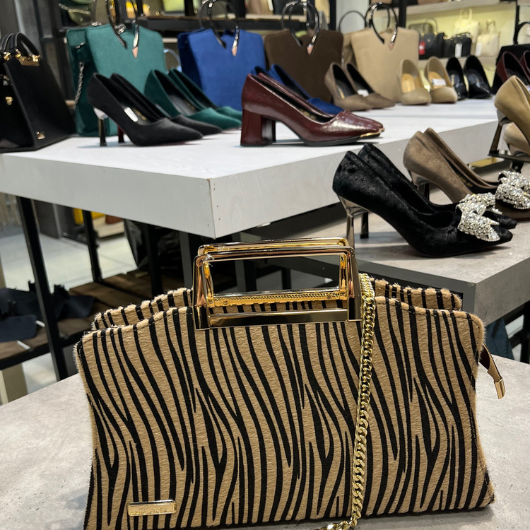 کیف و کفش طرح جدید